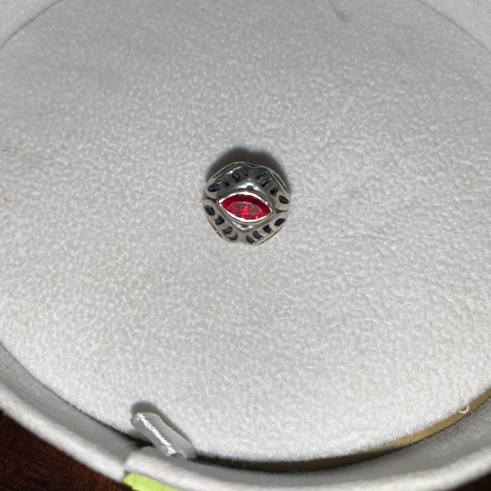 Authentic Chamilia charm
